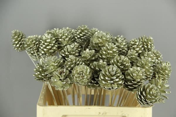 Stick Pine Cone Platinum+glitt - Dennenappel h% 1 Stick Pine Cone Platinum+glitt - Dennenappel h%