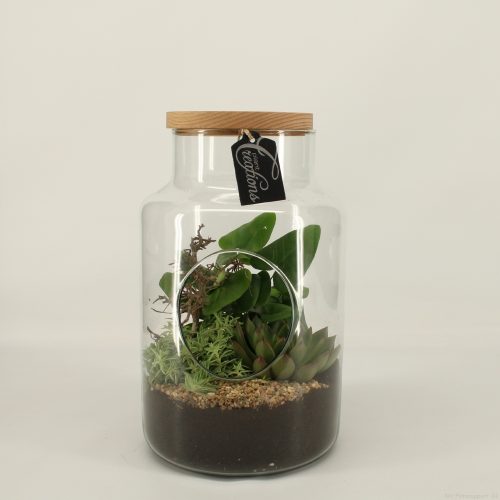 Grcr-2042 green creations	-	2	-	Adet