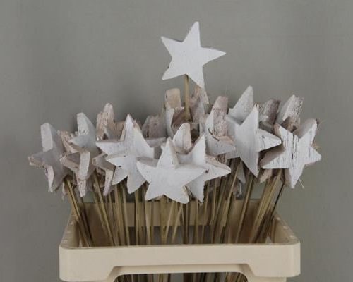 Stick cocos star xl white - Stick cocos star xl white