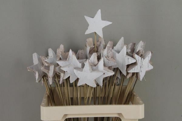 Stick cocos star xl white - Stick cocos star xl white 1 Stick cocos star xl white - Stick cocos star xl white
