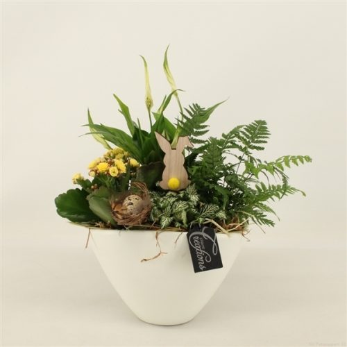 Baps-2010g basic pasen	-	3	-	Adet