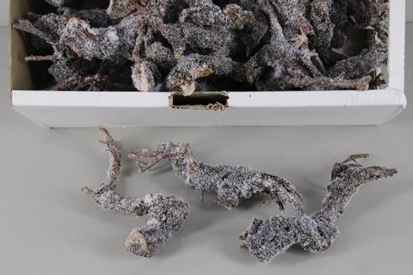Grape wood box nat. ice 20-25 - Grape wood box nat. ice 20-25