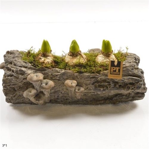 Pthcb 4702	-	3	-	Adet