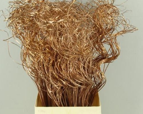 Stem Ting Ting Copper+glit Bs - Ting ting (19%)