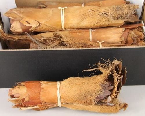 Palm Bakla Natural Roll(10pcs) - Decoratiemateriaal (h%)