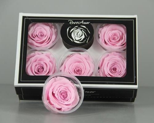 Preserved Rosa Xl Pin 04 - Rozen gr. vendela verf blauw
