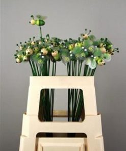 Stick bee wood green 6cm - Stick bee wood green 6cm