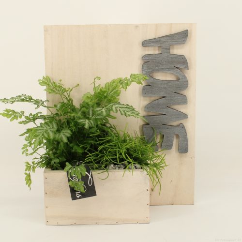 Grcr-2036 green creations	-	5	-	Adet