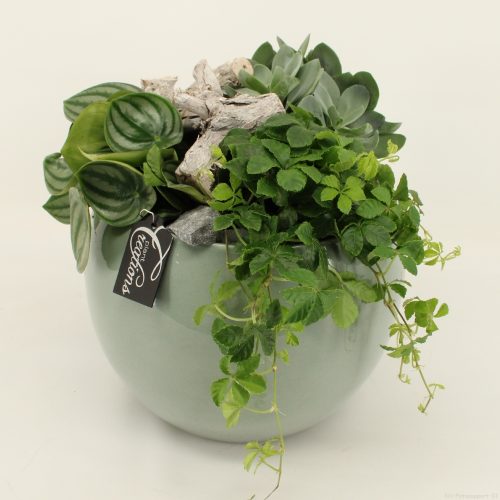Grcr-2024 green creations	-	2	-	Adet