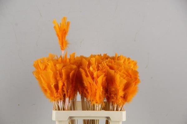 Stick Feather Orange 14cm - Decoratiemateriaal (h%)