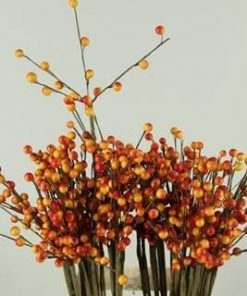 Stick berries-twigs orange - Stick berries-twigs orange
