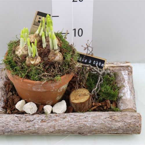 Arrangementen keramiek ovaal tcc 107	-	1	-	Adet