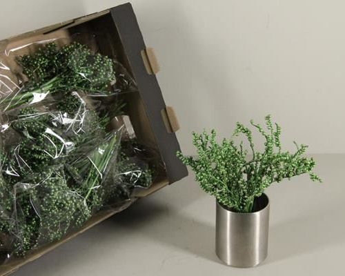 Cannella green metallic bs - Cannella green metallic bs