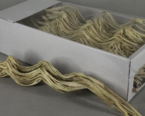 Dd coco curly 5-f bleached - Dd coco curly 5-f bleached