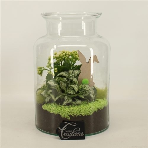 Baps-2005gr basic pasen	-	4	-	Adet