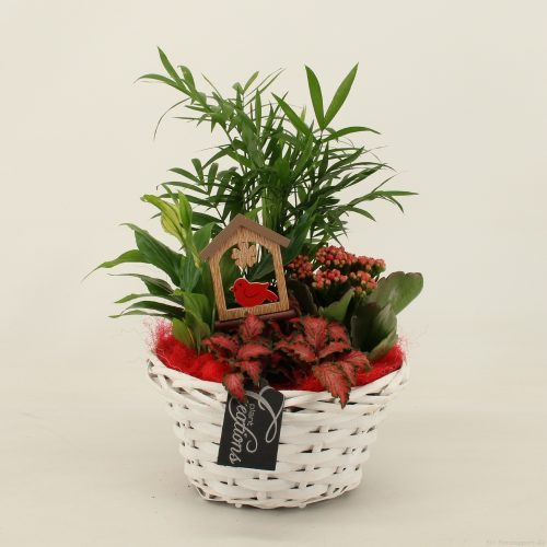 Bacr-2012r basic creatie	-	3	-	Adet
