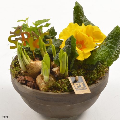 Arrangementen tuinplanten	-	6	-	Adet