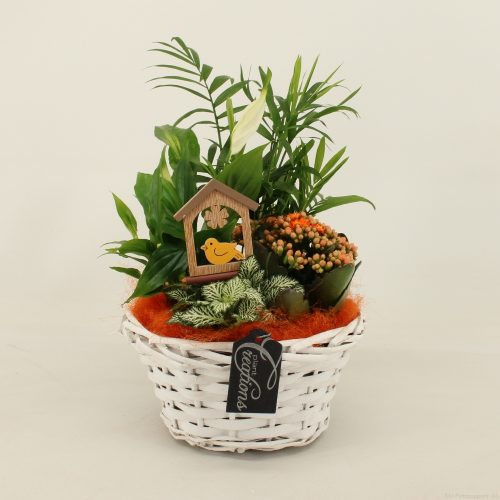 Bacr-2012or basic creatie	-	3	-	Adet