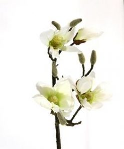 Silk magnolia white  90cm stem - Silk magnolia white  90cm stem