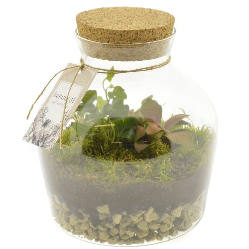 Arrangementen kamerplanten h%	-	4	-	Adet