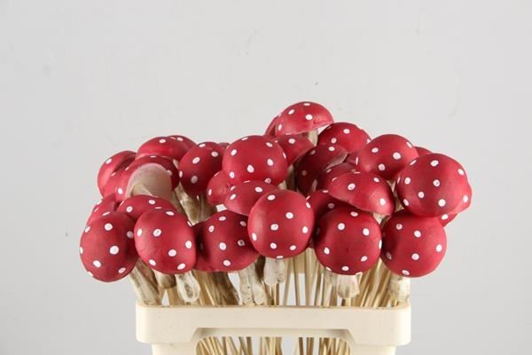 Stick Mushroom 7x11cm Red - Decoratiemateriaal (h%) 1 Stick Mushroom 7x11cm Red - Decoratiemateriaal (h%)