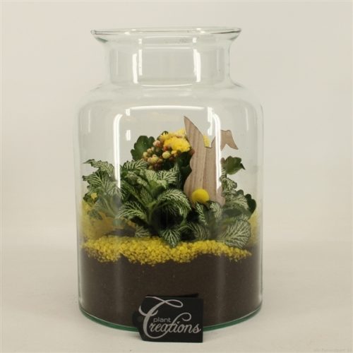 Baps-2005g basic pasen	-	4	-	Adet