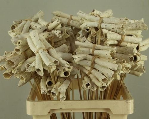 Stick Shiva(3pcs) Possy Bleach - Decoratiemateriaal (h%)