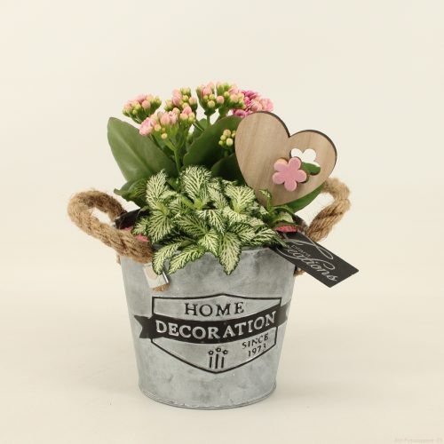 Barm-2016rz basic romantic	-	4	-	Adet