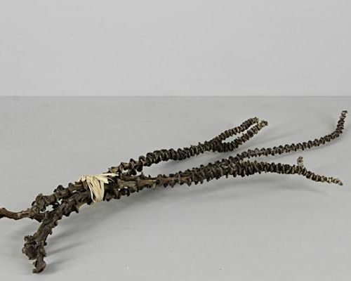 Stem Banana Bunch (5) Natural - Decoratiemateriaal (h%)