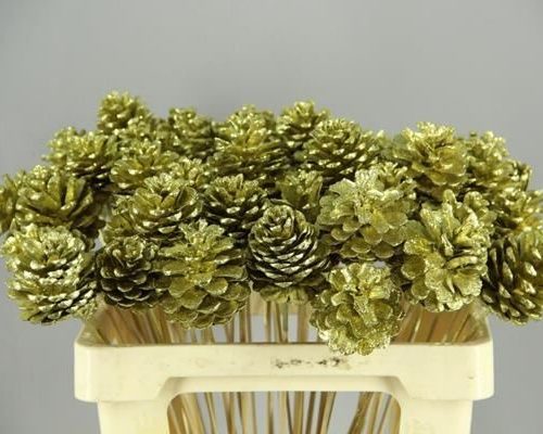 Stick Pine Cone Gold+glitter - Dennenappel h%