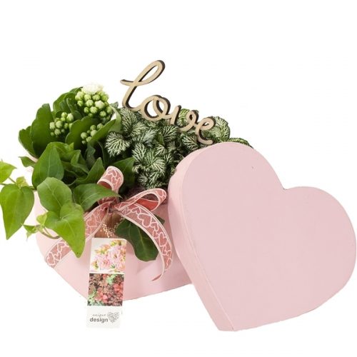 Udv2060 hoedendoos hartvormig s	-	6	-	Adet