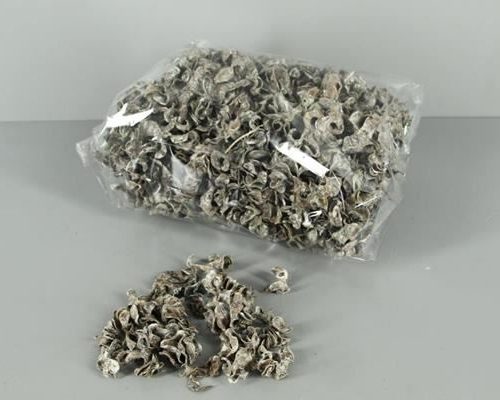 Curly Pod Frosted (500g) - Decoratiemateriaal (h%)
