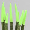 Renkli Paşa Kılıcı Çiçeği Sansevieria Yeşil Renk Seramik Saksı + 30 Cm 1