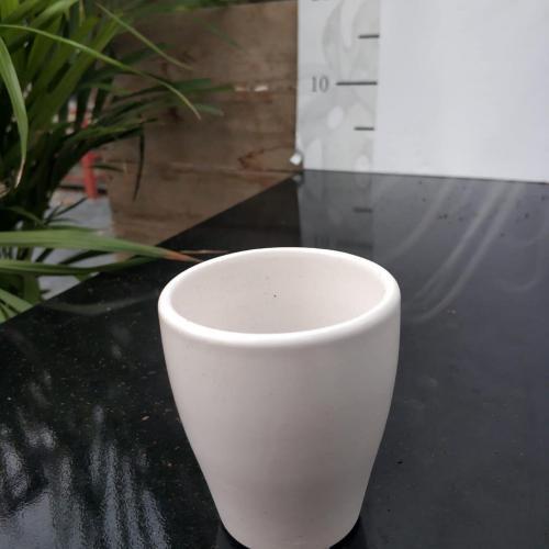 Alternative view of Beyaz Seramik Saksıda Beyaz Tavşan Kaktüs