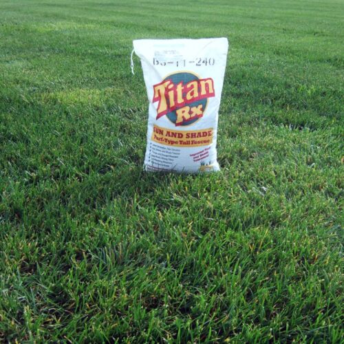 4 Karışım Titan Rx Rizomlu