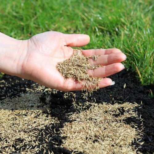 Alternative view of Barstadium RPR GLS