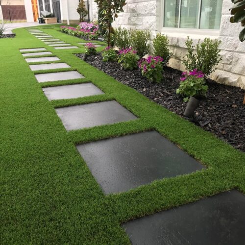 Alternative view of 4 Karışım Semillas Fito Sparring